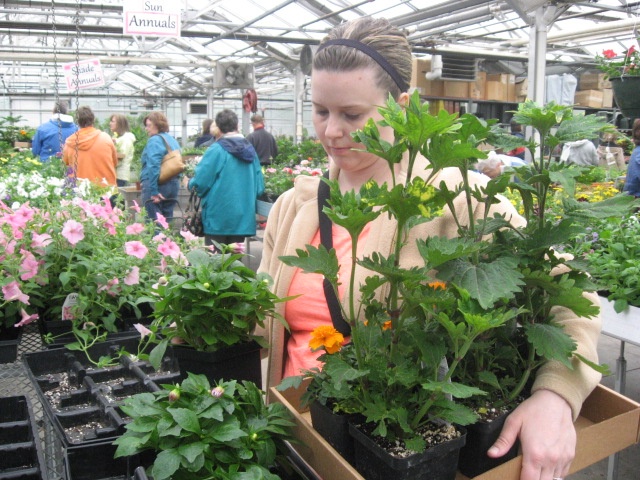 spring plant sale