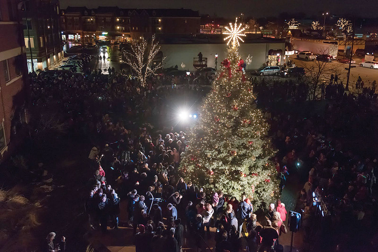 tree lighting