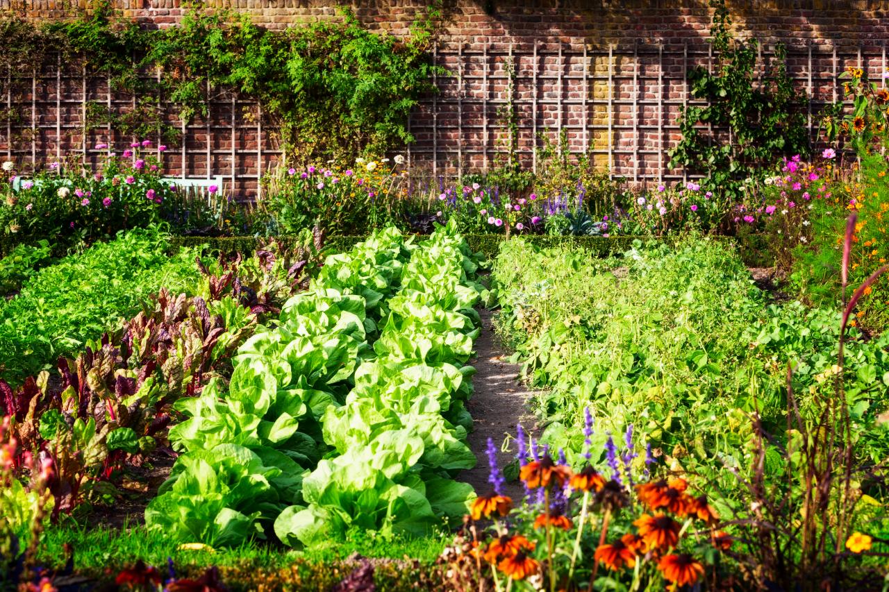 gardening