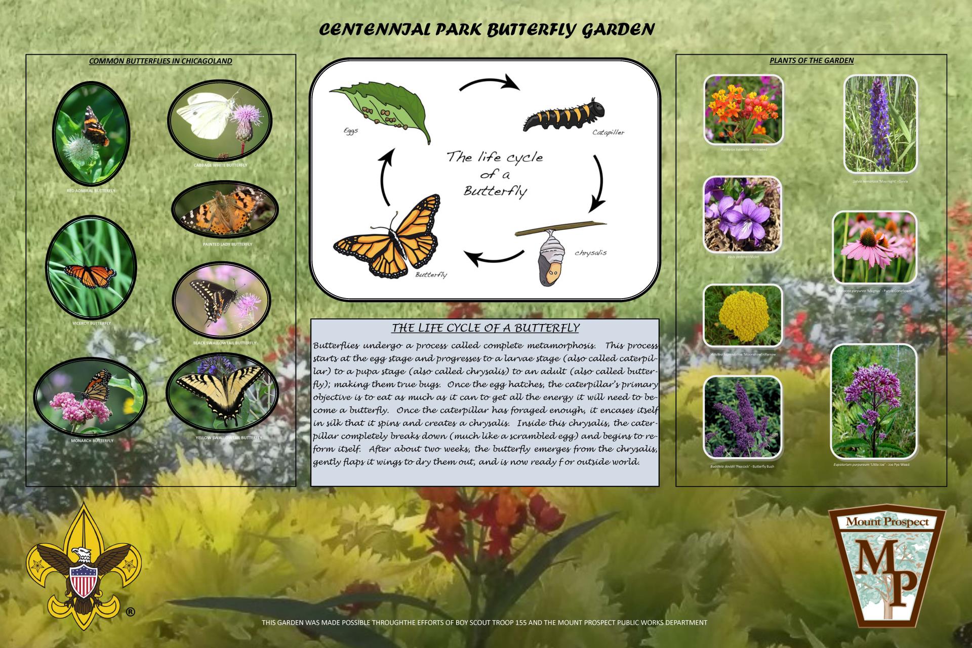 Centennial Park Butterfly Garden Sign 