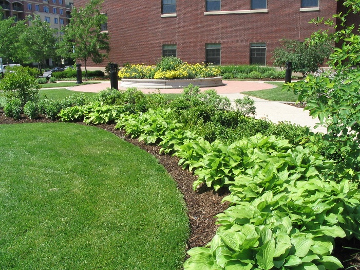 village_hall_landscaping