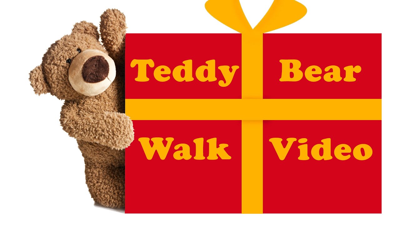 teddy bear walk