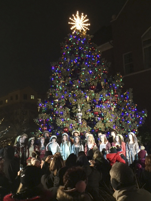 tree lighting