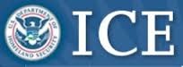 ICE logo